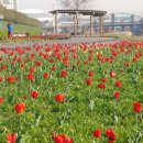 알퐁소농장2 이미지