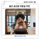 로하 살롱 | 울산 삼산동 미용실 추천 살롱드하루 로하 디자이너 클리닉 추천