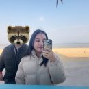 마니찐빵 | 대부도 방아머리 해변 앞 카페 하와이다 / 불란서 찐빵 후기