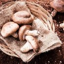 이성욱농장 이미지