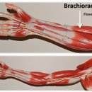 리턴투 필라테스 이미지