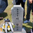 국립대전현충원 Daum카페