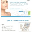 스텝셀 이미지
