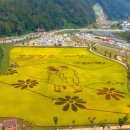 10/24(금) 정읍구절초지방정원+옥정호민간정원 가을꽃과트레킹~취소합니다. 이미지