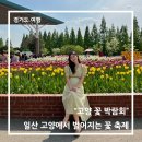 ㈜강서원예조경 | 일산 고양꽃박람회 방문후기, 고양꽃축제 어린이날 가볼만한 곳 추천