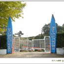 평림초등학교 Daum카페