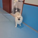 포울린 유치원 3개월 등원 후기 — 분리불안 해결 완료, 전문가 24시 상주