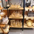 빵굽는곰 이미지