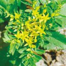 기린초등학교 이미지