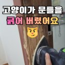 광교1동 행정복지센터 대강당 | 문틀보수 고양이발톱 자국 긁힌 화장실 문틀수리 과정 후기_수원