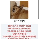 잘래 이미지