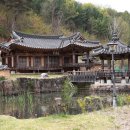 영천 귀애정 | 영천의 숨겨진 명소 귀애정
