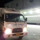포항장갑 이미지