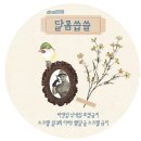 빗과가위소리 이미지