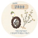 단발머리로 잘랐는데 최양락 됐어요 이미지