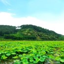 대금농장 이미지