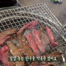 뿔난소 이미지