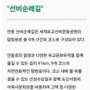 서도길 Daum카페