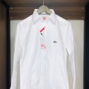 베이직코 이미지