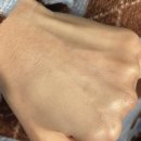 이것저것 일본내에서_편의점먹거리, 뷰티, 드럭스토어 써본거 먹어본거 솔직후기