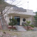 숲속의아침민박펜션 이미지