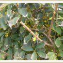 화순리마을회관 이미지