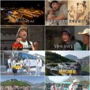 투어인 - 김해시 인제로 424 | 투어인