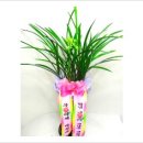 부암1동-15 이미지