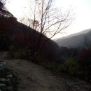 갤러리광고 이미지