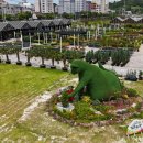 포유마켓 이미지