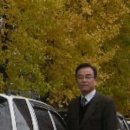 카스타운 Daum카페