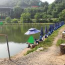 송라손맛터 이미지