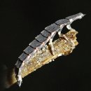 반딧불이 (Lychnuris rufa)-늦반딧불이 애벌레 이미지