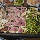 하계생오리 이미지