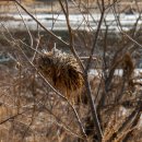 원지강변로 이미지