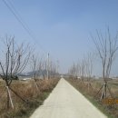 배양1리 마을회관 이미지