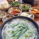 한끼돼지 | 울산 남구 점심 맛집 삼복국밥 오겹국밥 돼지국밥 든든한 한 끼 후기