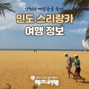㈜동서 | 인도 스리랑카 패키지여행 루트 코스 여행적기 콜롬보 시기리야 첸나이