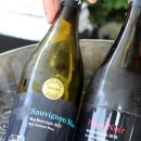 케이제이스타 이미지