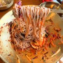 제주메밀면이야기 | 100% 제주산 순메밀면만 사용하는 제주신상오픈한 메밀면맛집 ‘ 동복순메밀 ’ 솔직후기