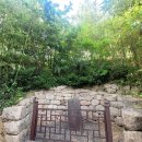 영수카정비 | 아랑은 ‘날 좀 보소’, 전도연·조승우는 ‘밀양보소’…여심(旅心)은 “밀양으로 날 넘겨주소”