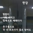 내 고향 왕십리 무학국민학교 (170203) 이미지