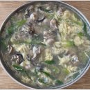 풍성식당 | 천안 백석동 초계국수 맛집 추천 미사리 밀빛 초계국수 내돈내산 후기 가격 메뉴 정리