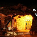 으뜸독 Daum카페