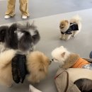 비슬로481길 이미지