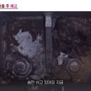 태식농장 이미지