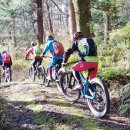 용강목장 이미지