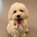 해멍달멍 이미지