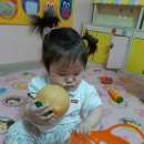 과일담아요