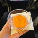 지연 | 파라타항공 좌석 간격 WE6501 김포에서 제주 비행기 지연 후기